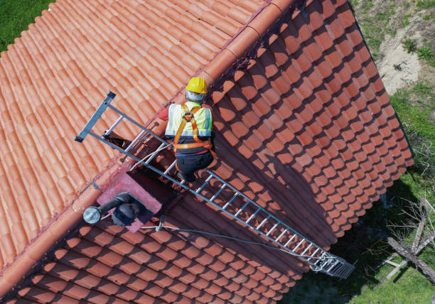 Best Skylights  in Monroe, WI